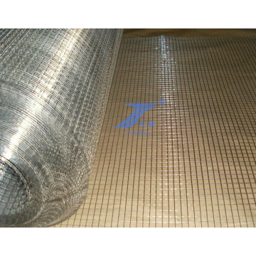 Hot Dipped Galvansied Aviary&Hutches Welded Wire Mesh